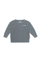 leevje Pullover Crocodile
