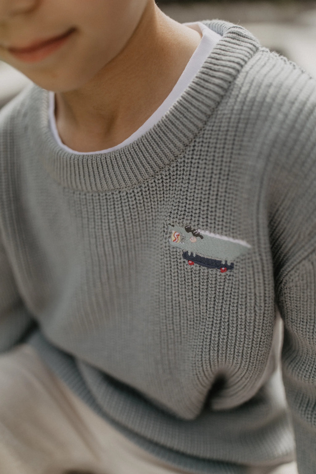 leevje Pullover Crocodile