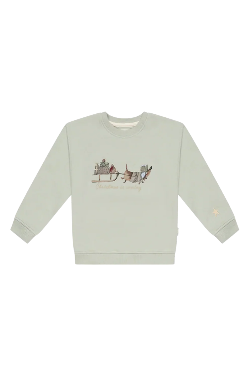 Unisex Oversized Sweatshirt Dackel 'christmas is coming'